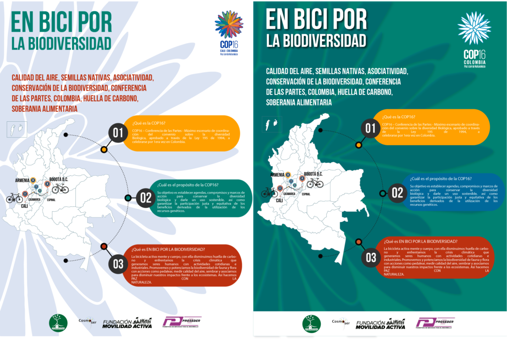 Cop 16 - infografía