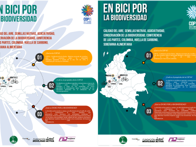 Cop 16 - infografía